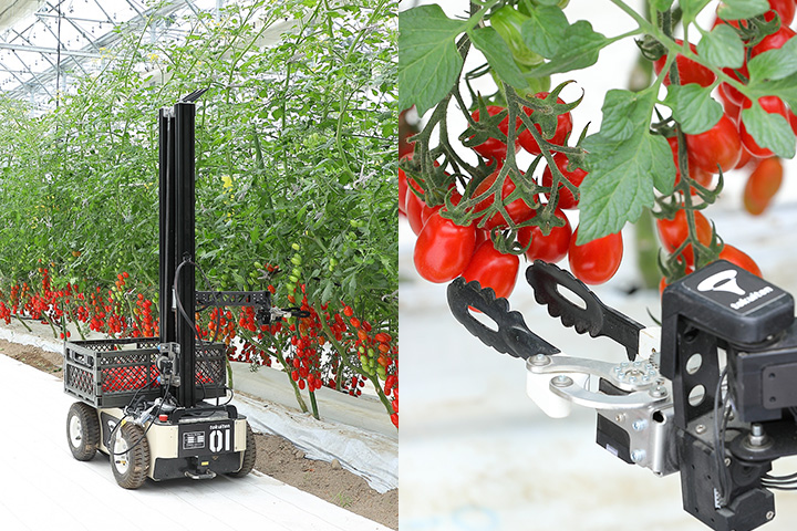 物流のイメージ写真